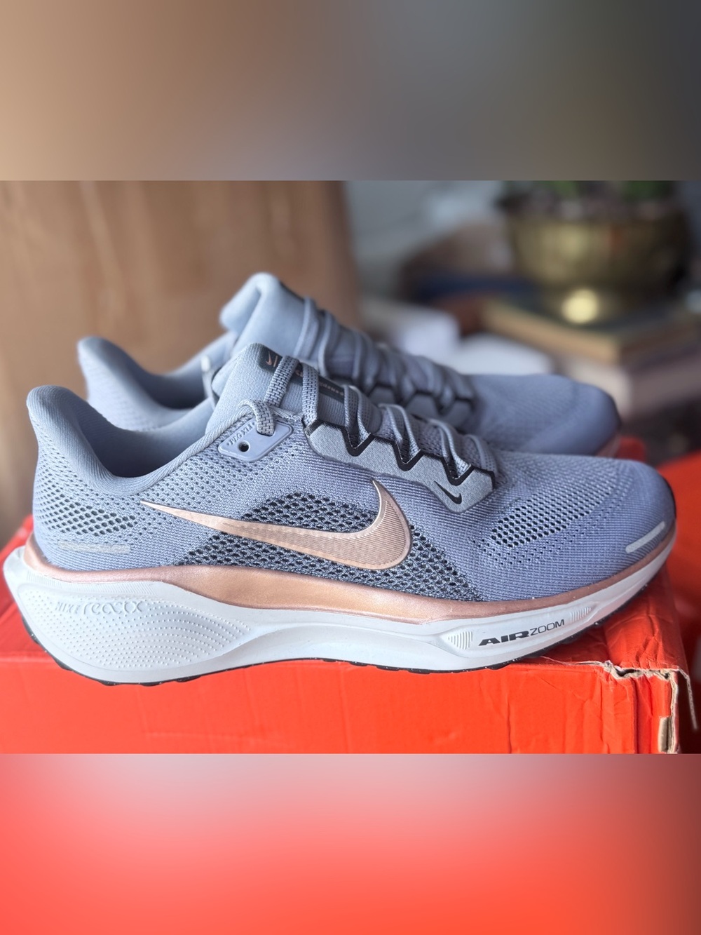 Nike Air Zoom Pegasus 41